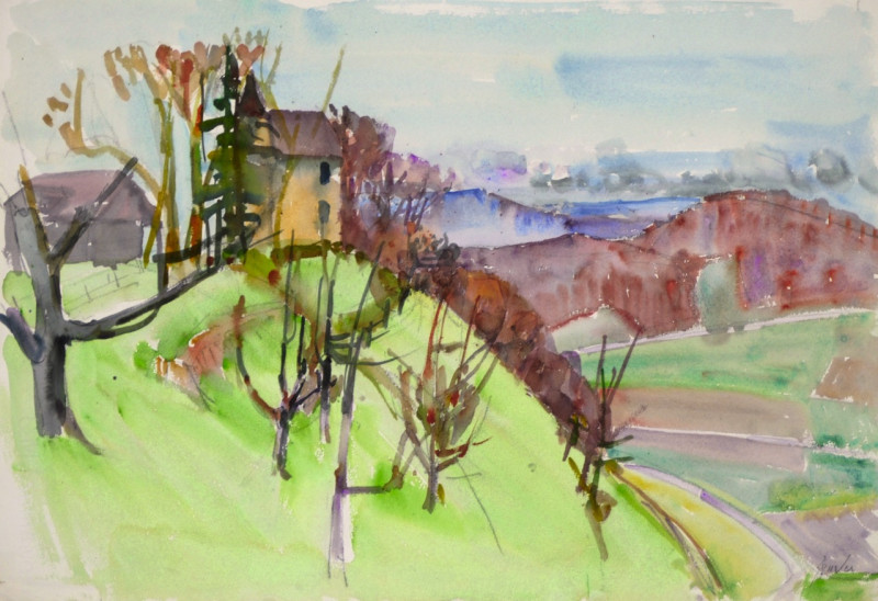 Zürcher Landschaft