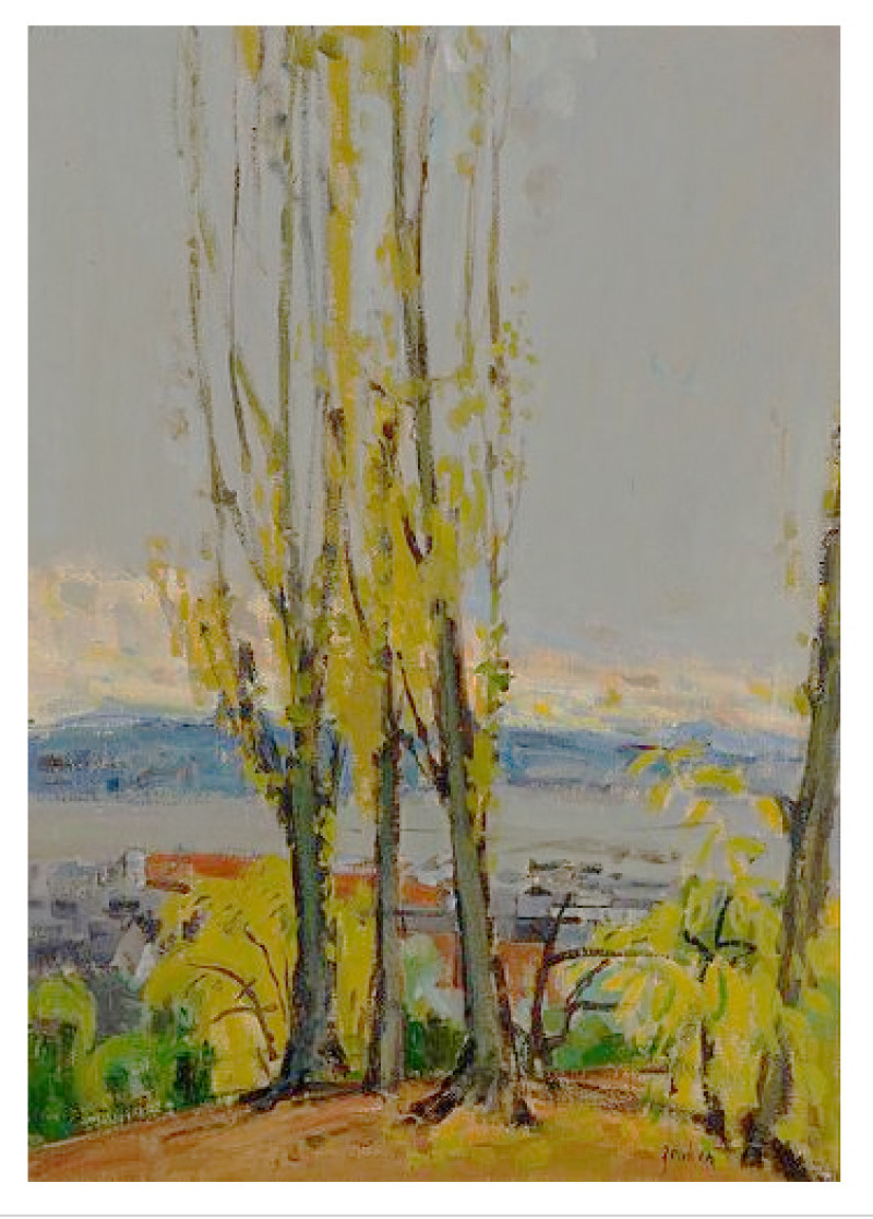 Pappelgruppe vor Zürichseelandschaft.