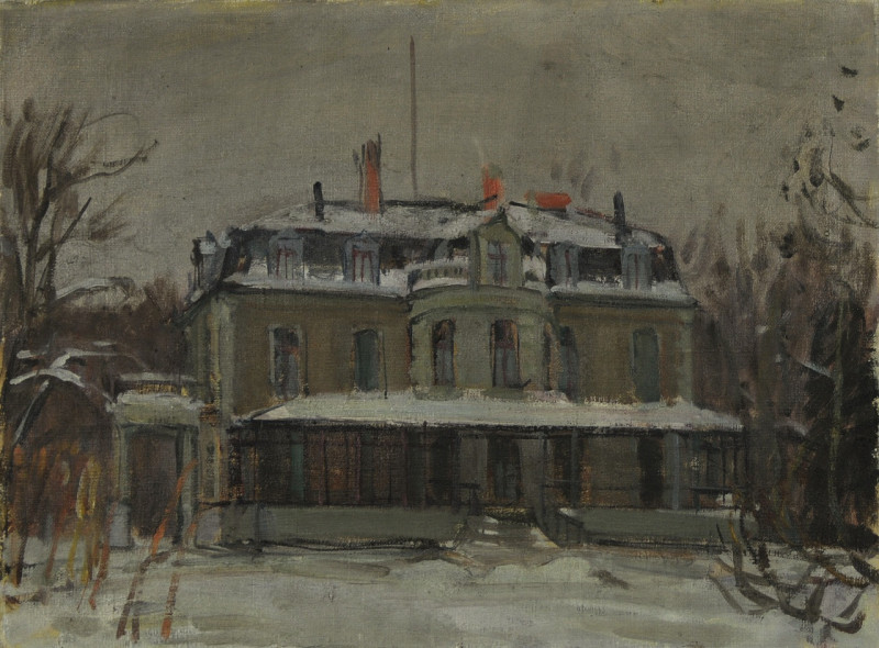 Villa Bühler in Winterthur (beherbergt heute das Münzkabinett)