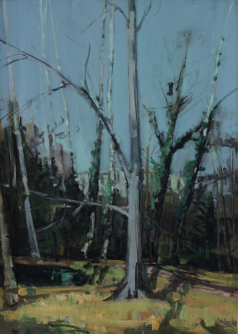 Karpfenteich (Park in Winterthur), 1948