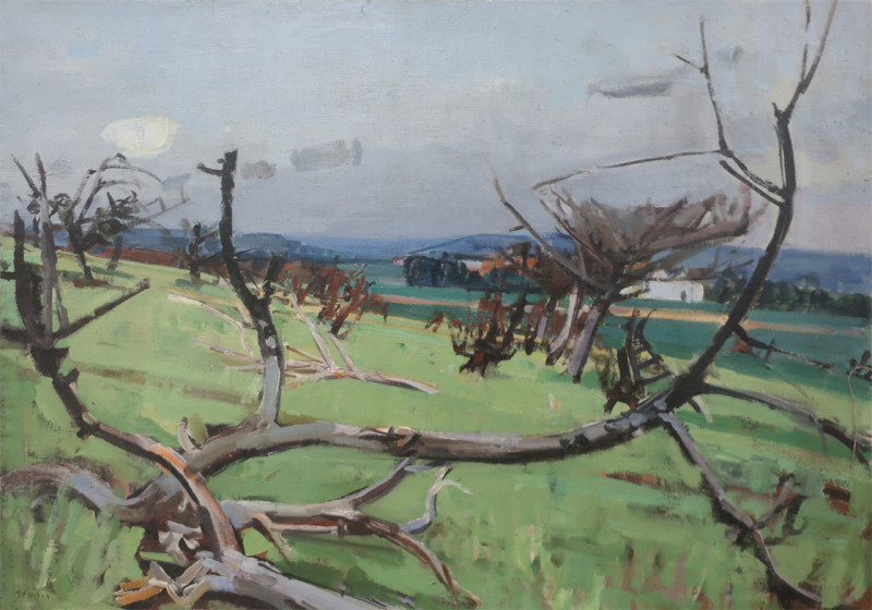 Landschaft mit toten Bäumen. Öl auf Leinwand, links unten signiert: Zender. 73 x 100