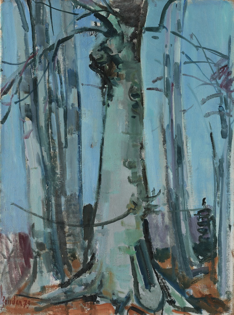 Les hètres (Buchen), Winterthur (100 Meter von Oststrasse) 1973