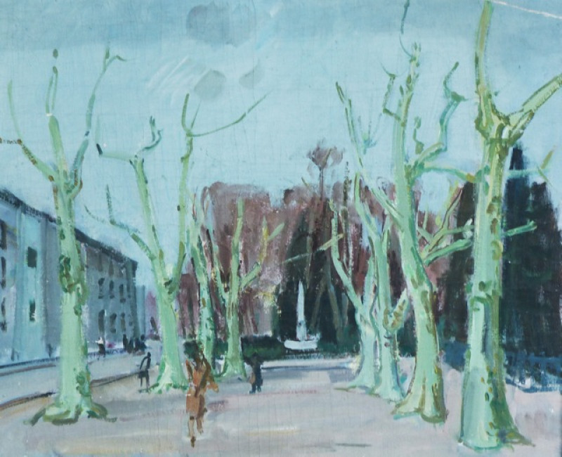 Platanen in Winterthur