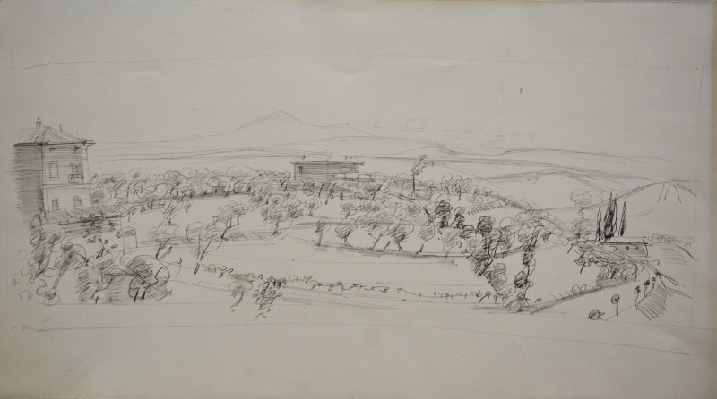 Landschaft in der Toscana mit Olivenhain