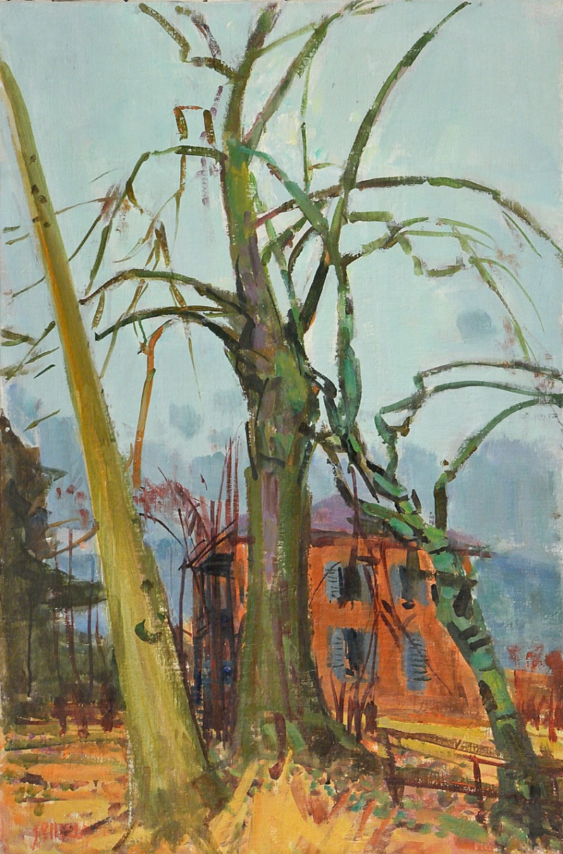 Rotes Haus in Richterswil