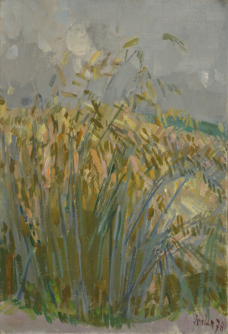 Getreidefeld, verso Studie 1978