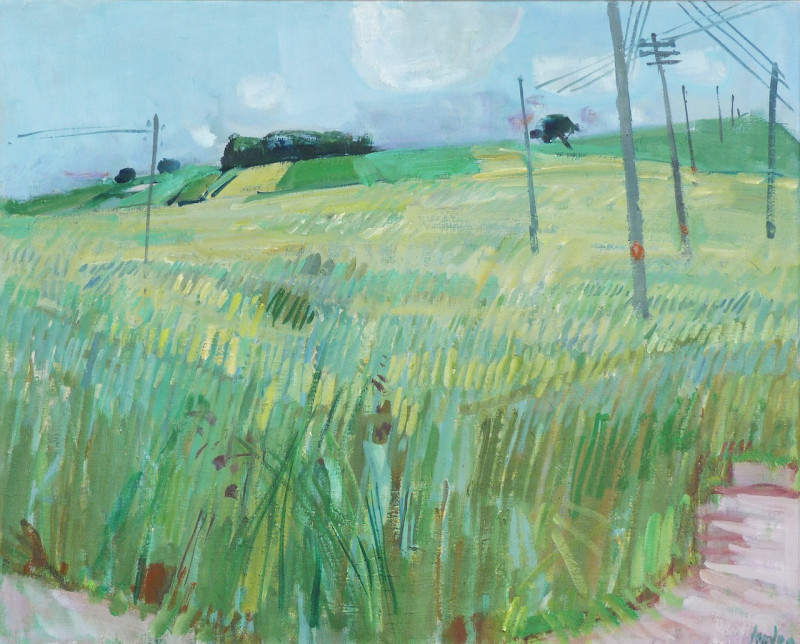 Die Felder in Oberwil, ca