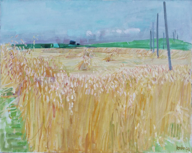 Weizenfeld in Oberwil, 1978